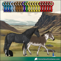 Horse Color:Black Tobiano 