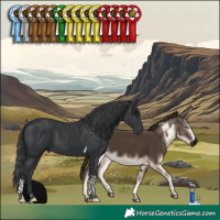 Horse Color:Black Tobiano 
