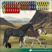 Horse Color:Black Tobiano