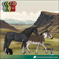 Horse Color:Black Tobiano 