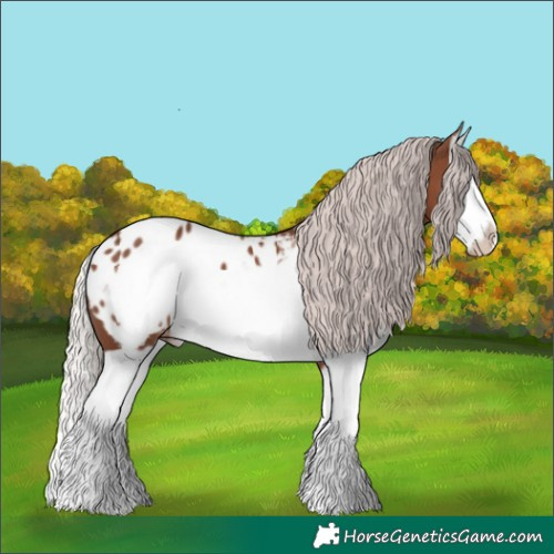 Horse Color:Silver Black Splash Frame Blanket