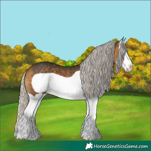 Horse Color:Silver Buckskin Splash Frame