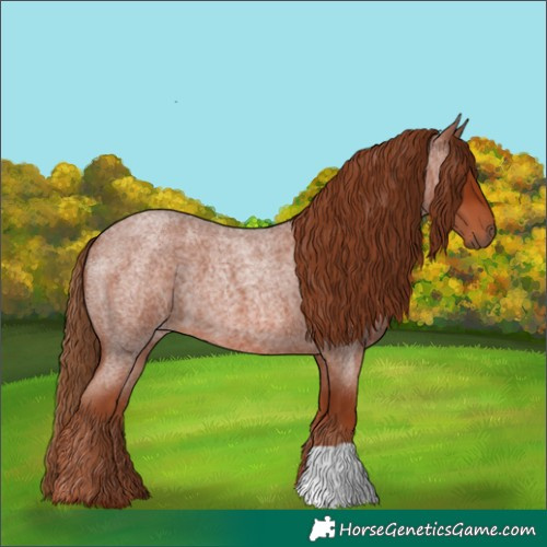 Horse Color:Red Roan