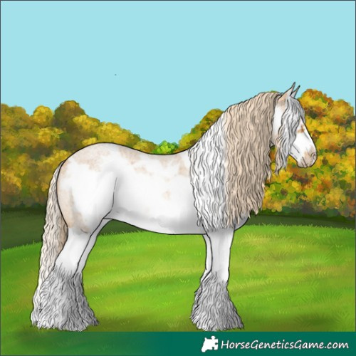 Horse Color:Palomino Roan Splash Frame Rabicano