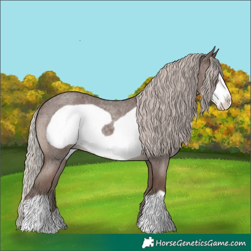 Horse Color:Silver Blue Roan Frame 