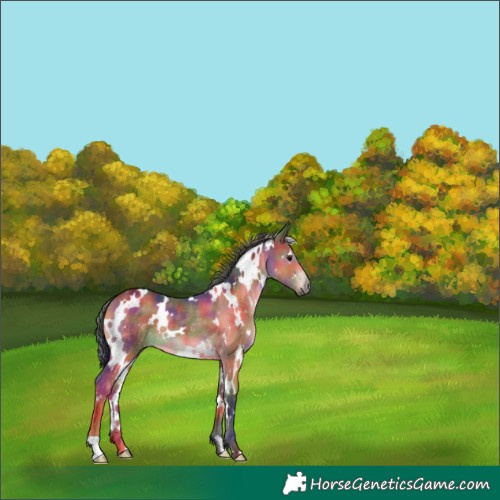 Horse Color:Platinum Nacre White Spotted Brown 