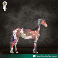 Horse Color:Platinum Nacre White Spotted Brown
