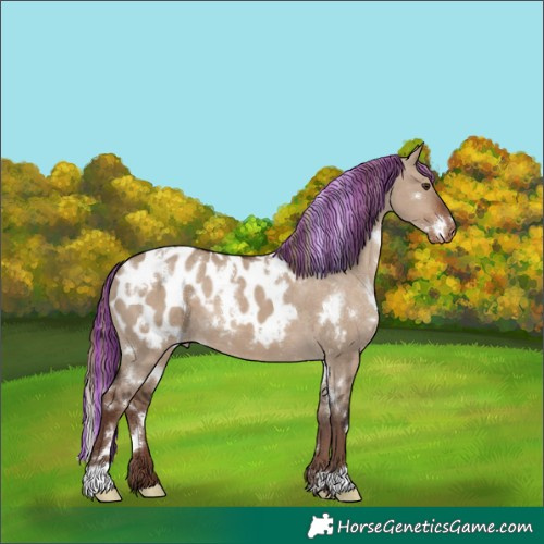 Horse Color:Painted White Spotted Liver Red Dun Blanket 