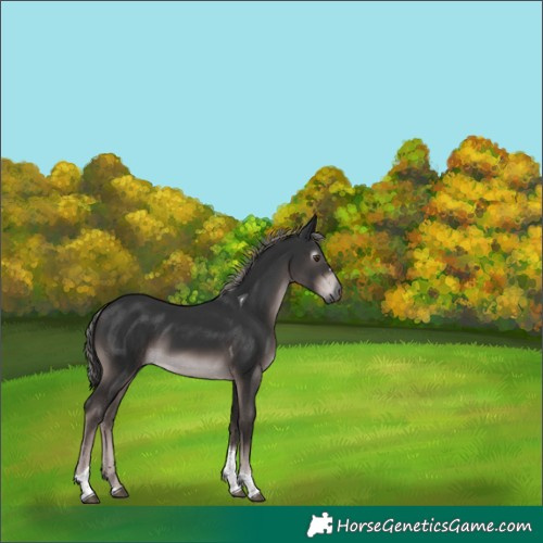 Horse Color:Gray Platinum Liver Chestnut Tobiano