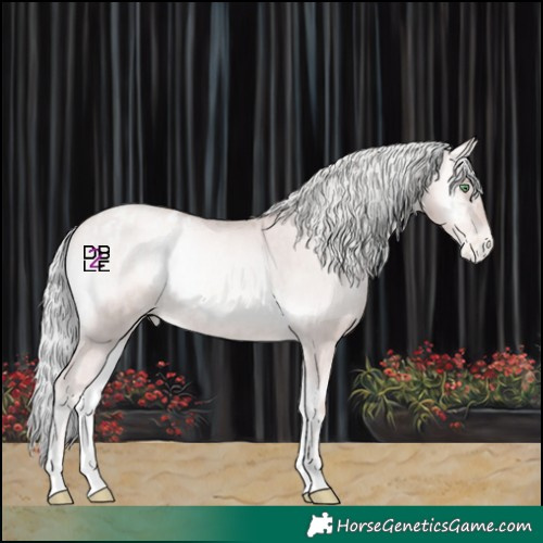 Horse Color:Platinum Gold Champagne Pearl Onyx Mushroom Rabicano  and Platinum Gold Champagne Pearl Onyx Mushroom Appaloosa Rabicano 