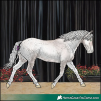 Horse Color:Platinum Gold Champagne Pearl Onyx Mushroom Rabicano and Platinum Gold Champagne Pearl Onyx Mushroom Blanket Rabicano