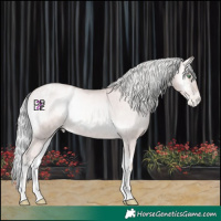 Horse Color:Platinum Gold Champagne Pearl Onyx Mushroom Rabicano and Platinum Gold Champagne Pearl Onyx Mushroom Appaloosa Rabicano