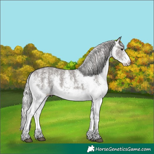 Horse Color:Platinum White Spotted Silver Smoky Black 
