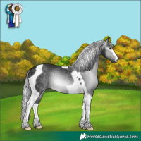 Horse Color:Gray Platinum Silver Brown Tobiano 