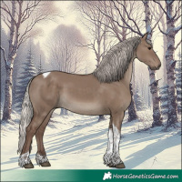 Horse Color:Silver Grullo Tobiano 