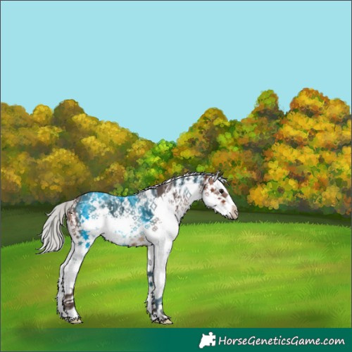 Horse Color:White Spotted Silver Brown Ice Sabino Splash 