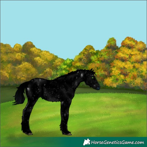 Horse Color:ERROR: UNKNOWN ANOMALY