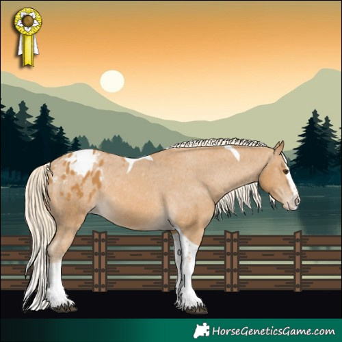Horse Color:Palomino Splash Tobiano Varnish 