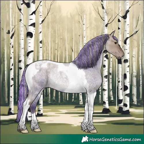 Horse Color:Painted Silver Grullo Roan Tobiano Rabicano 