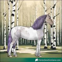 Horse Color:Painted Silver Grullo Roan Tobiano Rabicano