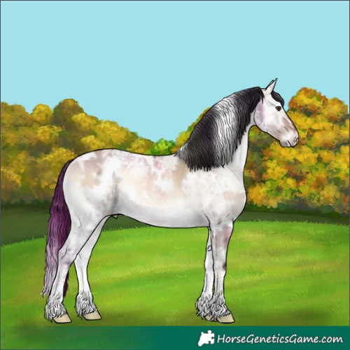 Horse Color:White Spotted Liver Red Dun Ice Onyx Rabicano 