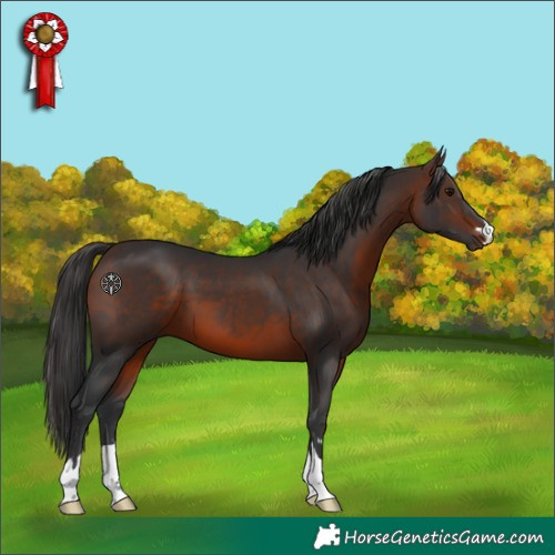 Horse Color:Brown 