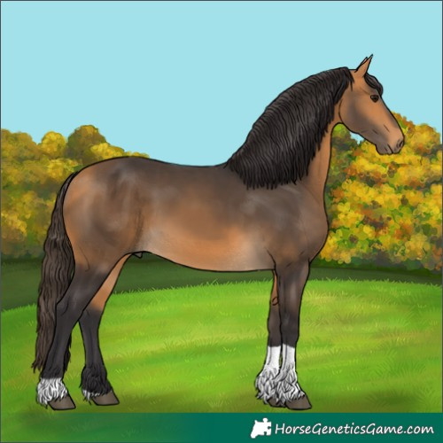 Horse Color:Buckskin Tobiano