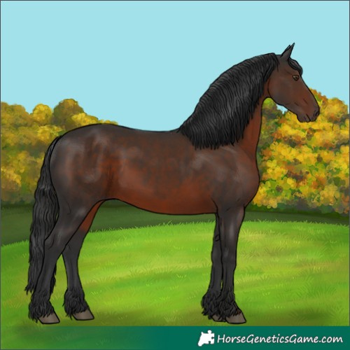 Horse Color:Liver Chestnut 