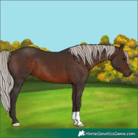 Horse Color:Silver Brown 
