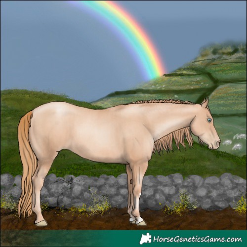 Horse Color:Gold Champagne Pearl Rabicano  and Gold Champagne Pearl Rabicano 