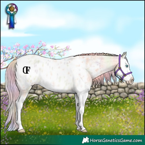 Horse Color:Nacre Palomino Roan Dun Splash Appaloosa Rabicano 