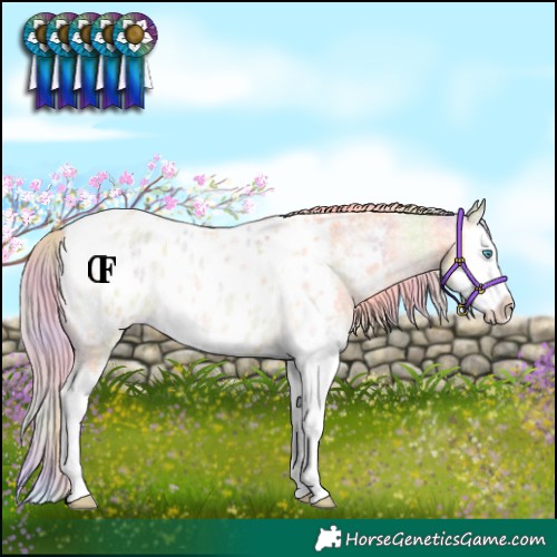 Horse Color:Nacre Palomino Roan Dun Splash Blanket Rabicano