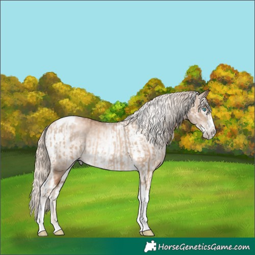 Horse Color:Chocolate Palomino Pearl Tobiano Frame  and Gray Chocolate Palomino Pearl Tobiano Frame 