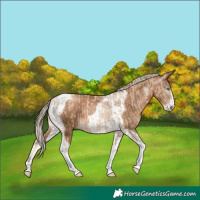 Horse Color:Chocolate Palomino Pearl Tobiano Frame  and Gray Chocolate Palomino Pearl Tobiano Frame 
