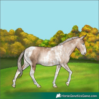 Horse Color:Chocolate Palomino Pearl Tobiano Frame  and Gray Chocolate Palomino Pearl Tobiano Frame 