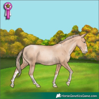 Horse Color:Gold Champagne Pearl Rabicano  and Gold Champagne Pearl Rabicano 