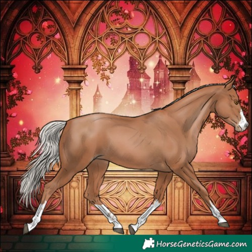 Horse Color:Silver Black Pearl