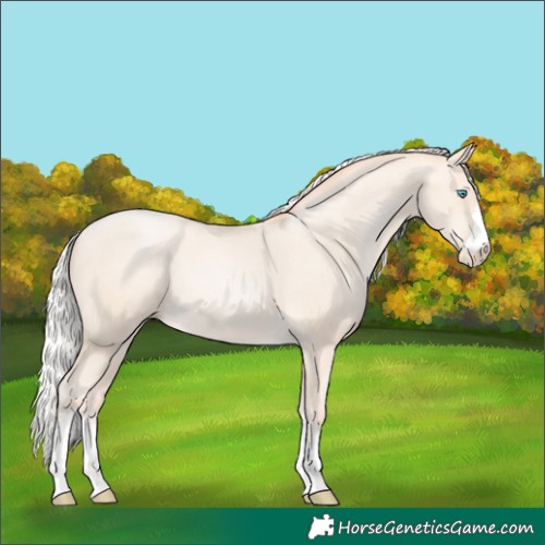 Horse Color:Silver Amber Cream Champagne Pearl 