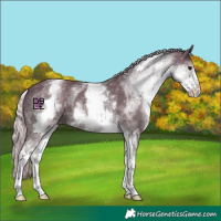 Horse Color:White Spotted Silver Black Varnish 