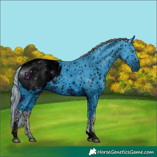 Horse Color:ERROR: UNKNOWN ANOMALY