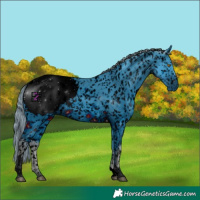 Horse Color:ERROR: UNKNOWN ANOMALY