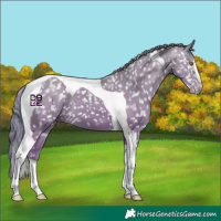Horse Color:Chestnut Tobiano Snowflake Varnish 