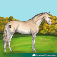 Horse Color:Red Dun Ice Onyx Rabicano