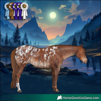 Horse Color:Chocolate Black and Chestnut Blanket