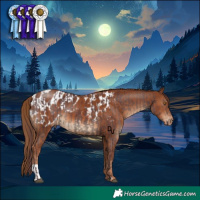 Horse Color:Chocolate Black and Chestnut Blanket
