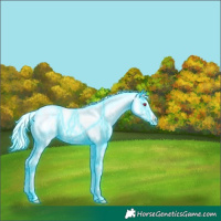 Horse Color:Thunderstruck Liver Chestnut Chinchilla Ice Mushroom Splash Tobiano