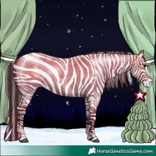 Horse Color:Grullo Roan Tobiano