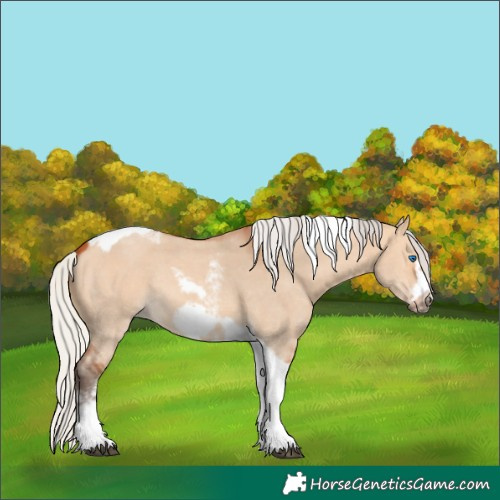 Horse Color:Silver Bay Dun Sabino Tobiano Frame Rabicano 