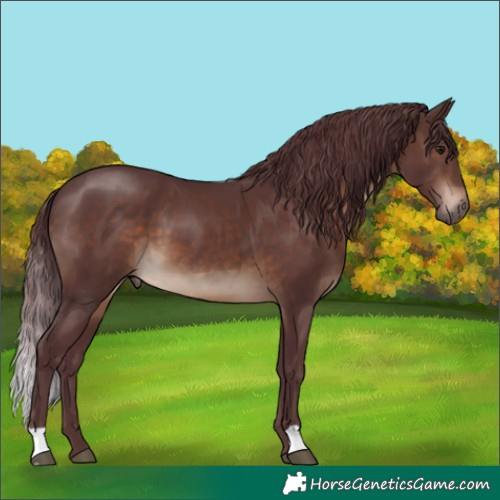 Horse Color:Chocolate Brown 