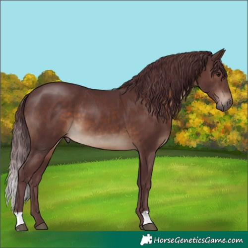 Horse Color:Chocolate Brown